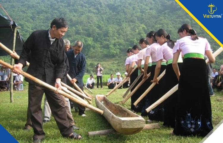 Người Thái tại Việt Nam rất giỏi về canh tác và trồng trọt